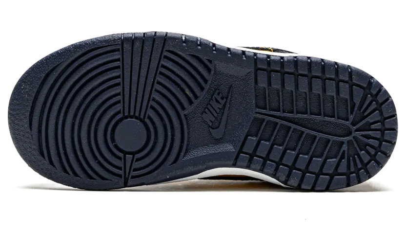 nike-dunk CW1589-700