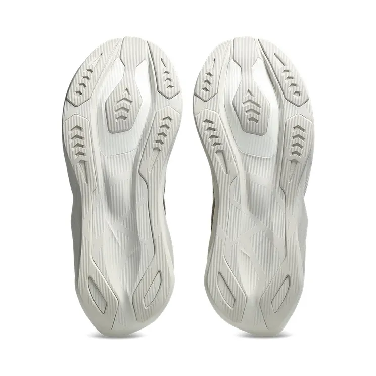 asics-novablast 1011C243-250