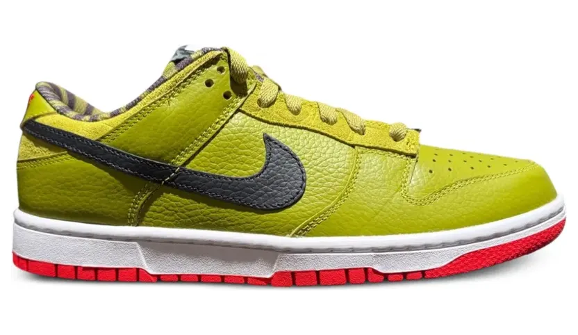 nike-dunk FJ2253901