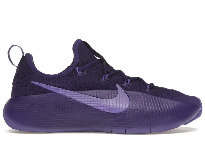 Nike LeBron TR 1 Purple Rain (FJ6151-500)