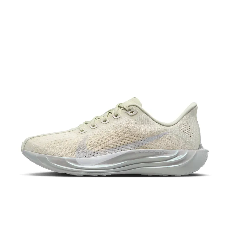 Nike Pegasus Sea Glass/Chalk/Pure Platinum/White (IO9912-001)