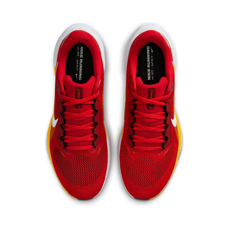 nike-air-zoom IB3209-600