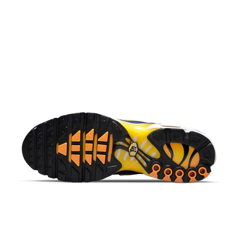 Nike Air Max Plus Blue (DM3530-400)
