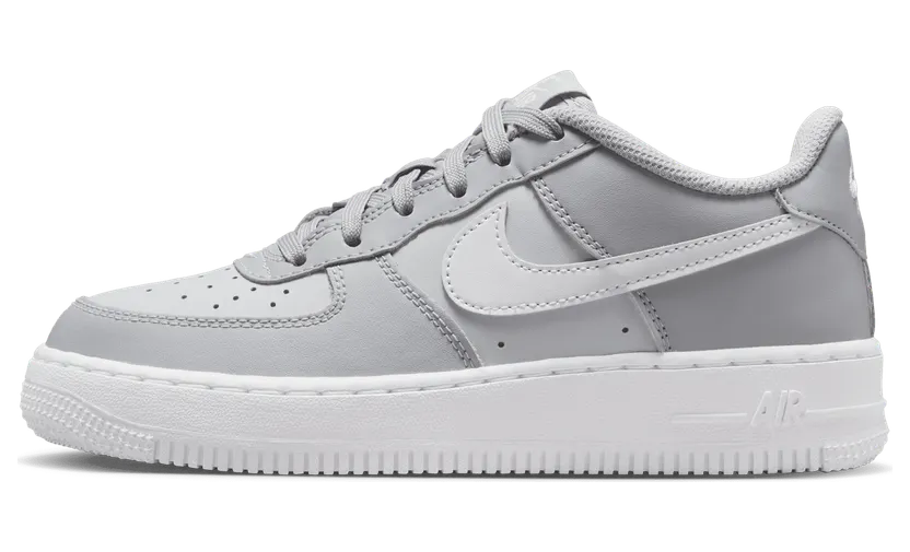 Nike Air Force 1 Wolf Grey Pure Platinum White (FV5948-005)