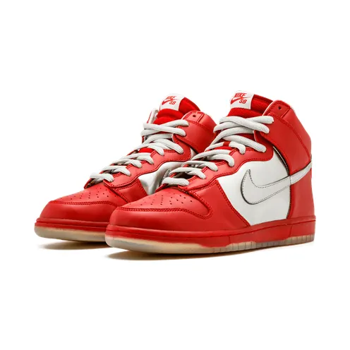 nike-dunk-sb 313171-002
