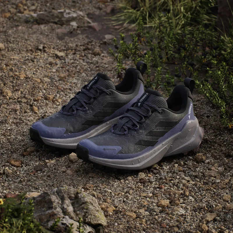 Adidas Terrex Trailmaker 2.0 GORE-TEX Hiking Carbon / Core Black / Preloved Violet (JQ9946)