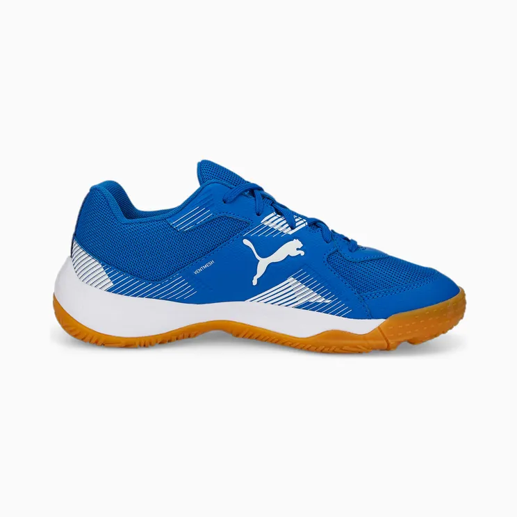 puma-indoorschoenen 106883-03