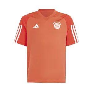 Nike Ausgefranste V5 Rnr “Grey” (IQ0613)