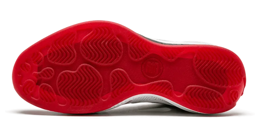 air-jordan-2010 387358-101