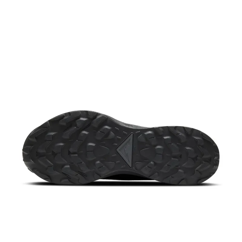 Nike Pegasus Trail 2 GORE-TEX Trail Running Black (CU2016-001)