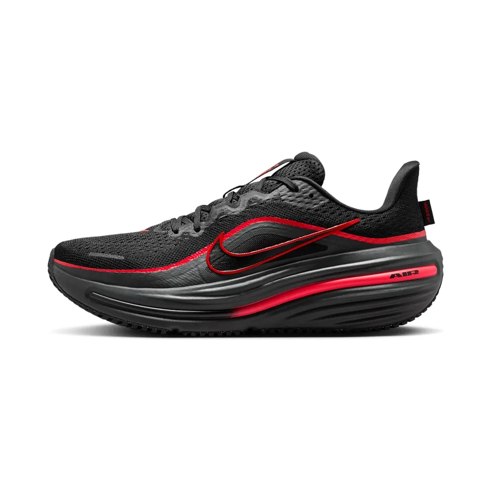 Nike Winflo 12 Schwarz (HV9272-005)