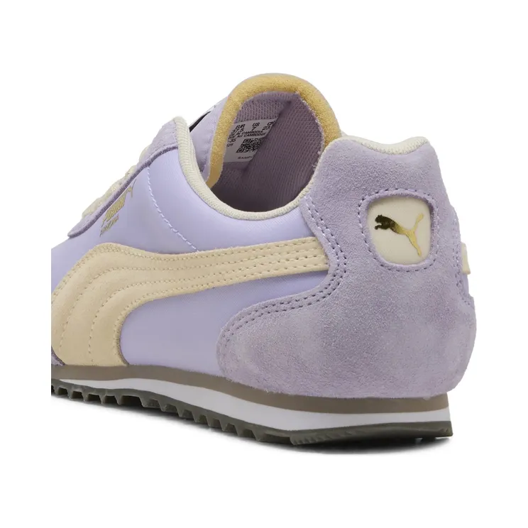 puma-arizona 398682_35