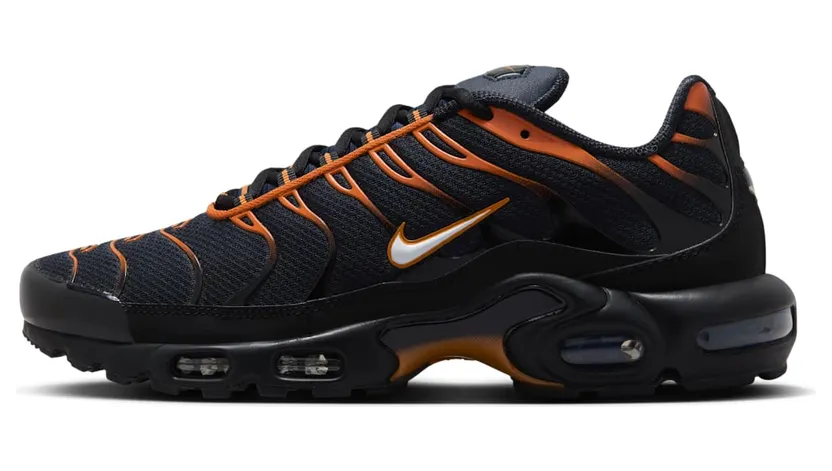 Nike Air Max Plus FN6949-400