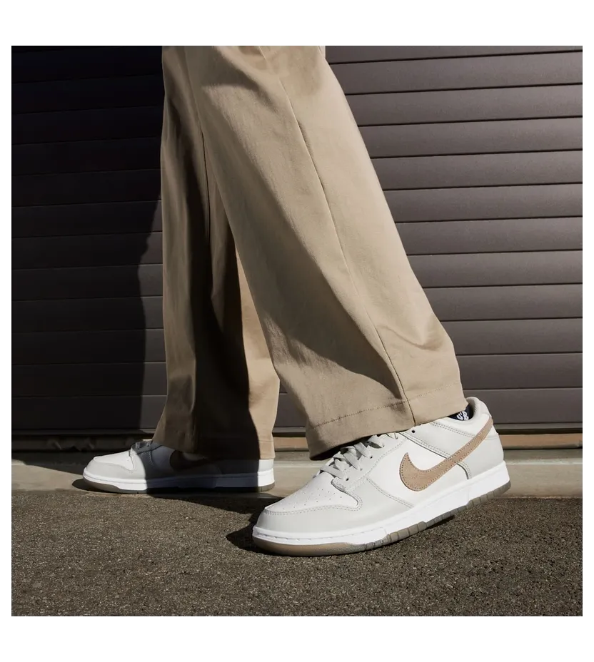 nike-dunk FJ4188-001