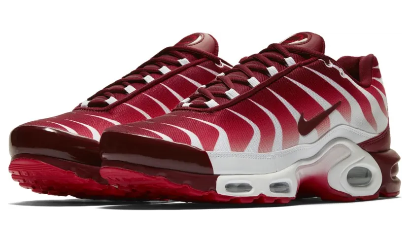 Nike Air Max Plus After the Bite