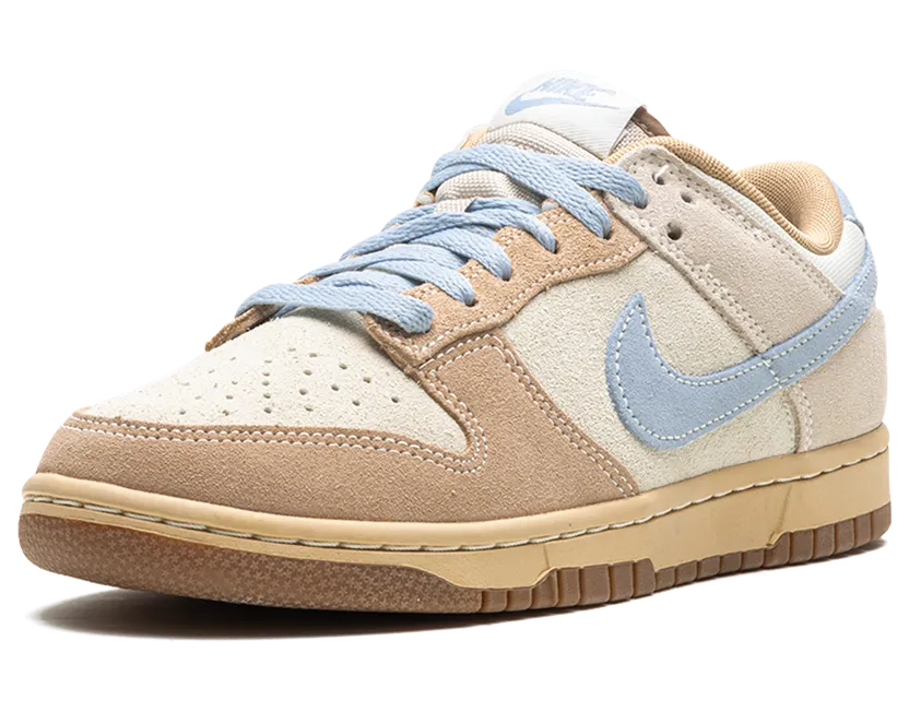 nike-dunk HF0106-100