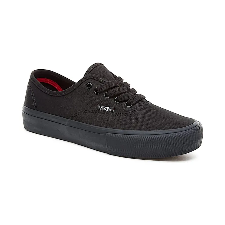 vans-authentic-pro VN000Q0DBKA