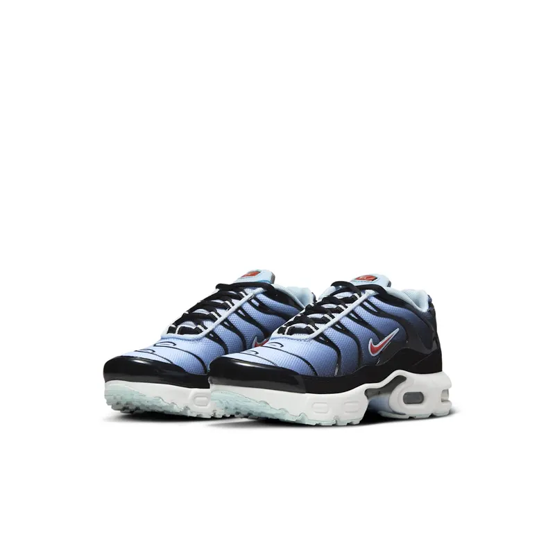 Nike Air Max Plus Black Blue Tint Light Smoke Grey Rugged Orange (CD0610-023)