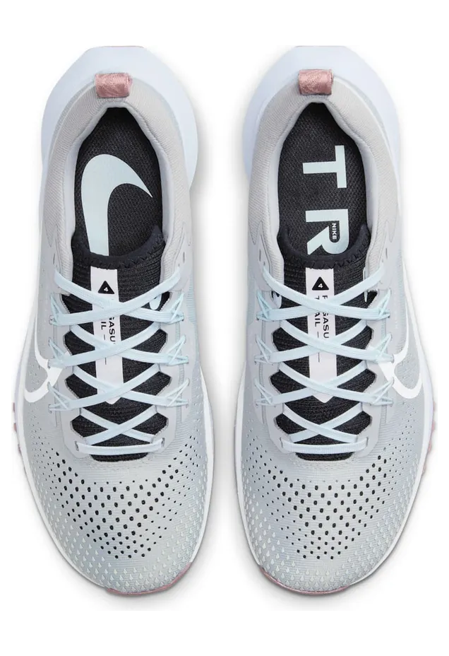 nike-air-pegasus DJ6159-005