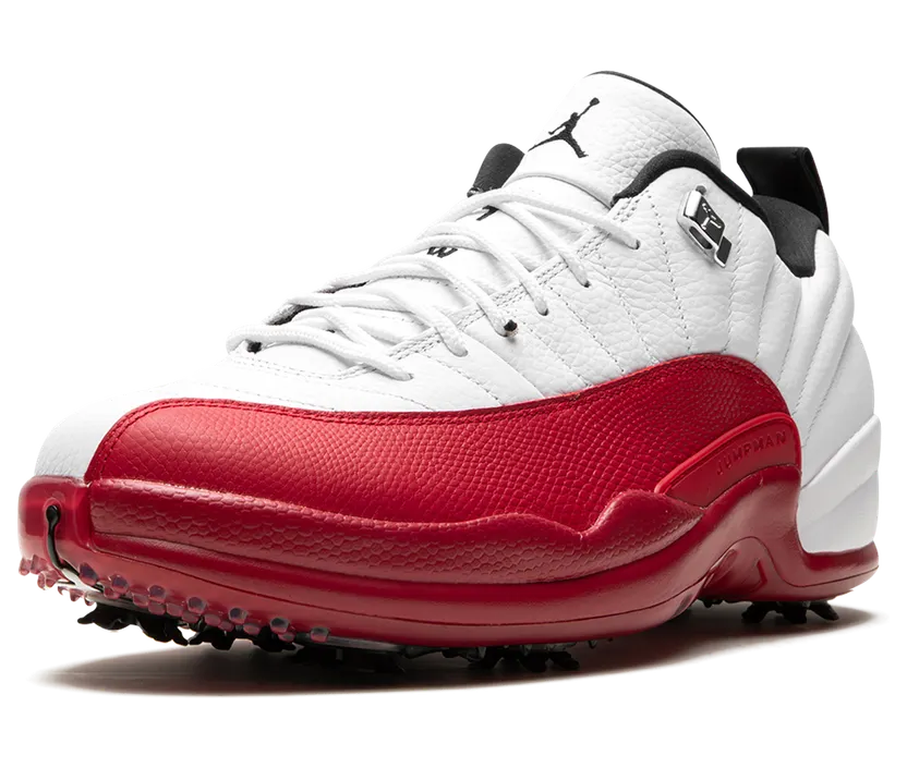 air-jordan-12 DH4120-161