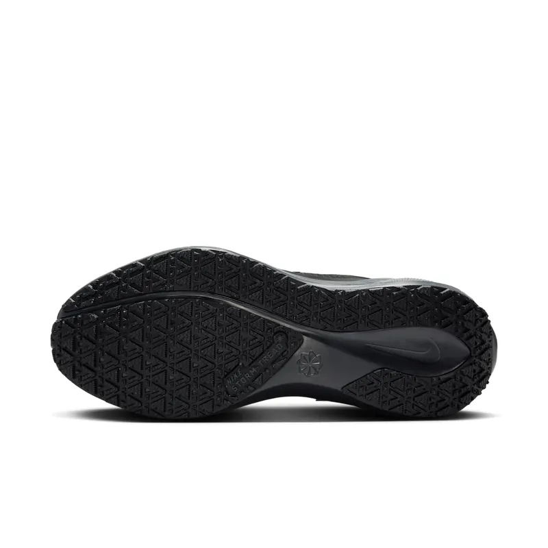 Nike Air Zoom Pegasus 41 Black (FQ1357-001)