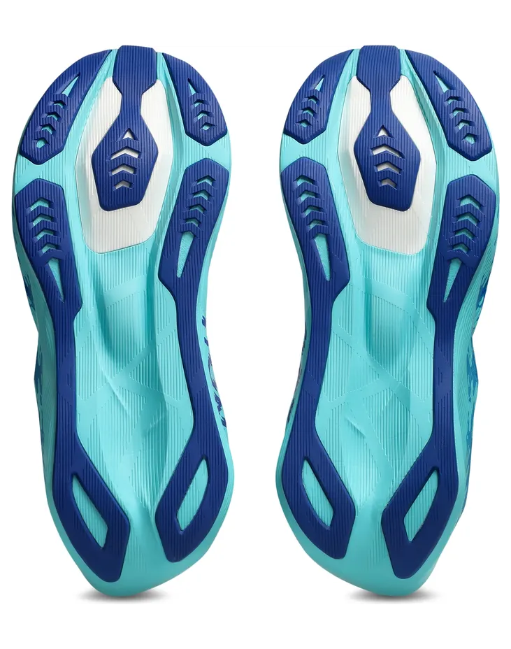 asics-novablast 1013A212-100