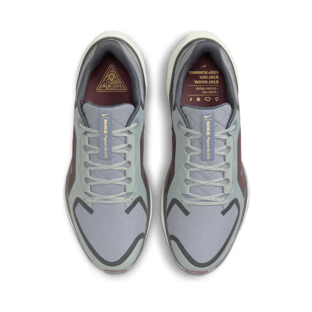 Nike Air Zoom Pegasus 41 Gore-Tex Light Pumice Burgandy Crush (FQ1356-003)
