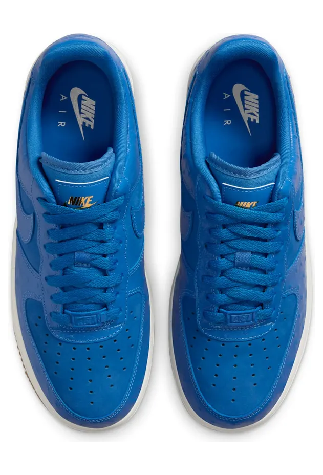 nike-air-force DZ2708-400
