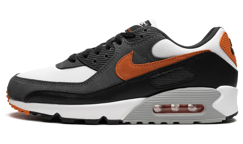 Nike Air Max 90 “Starfish” (DM0029-101)