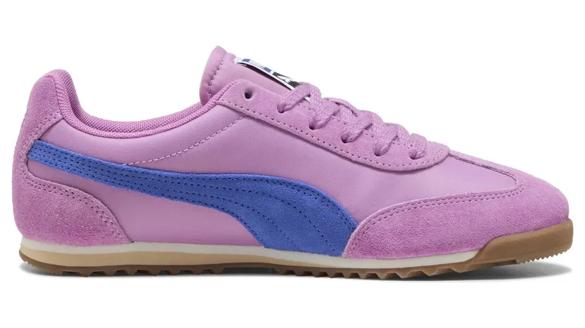 puma-arizona 398682_32