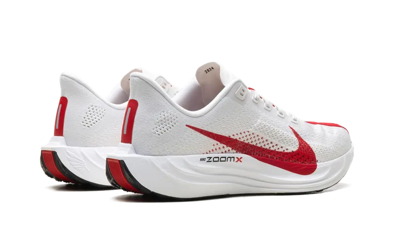 Nike Pegasus Plus “Platinum Tint University Red” (FQ7262-003)
