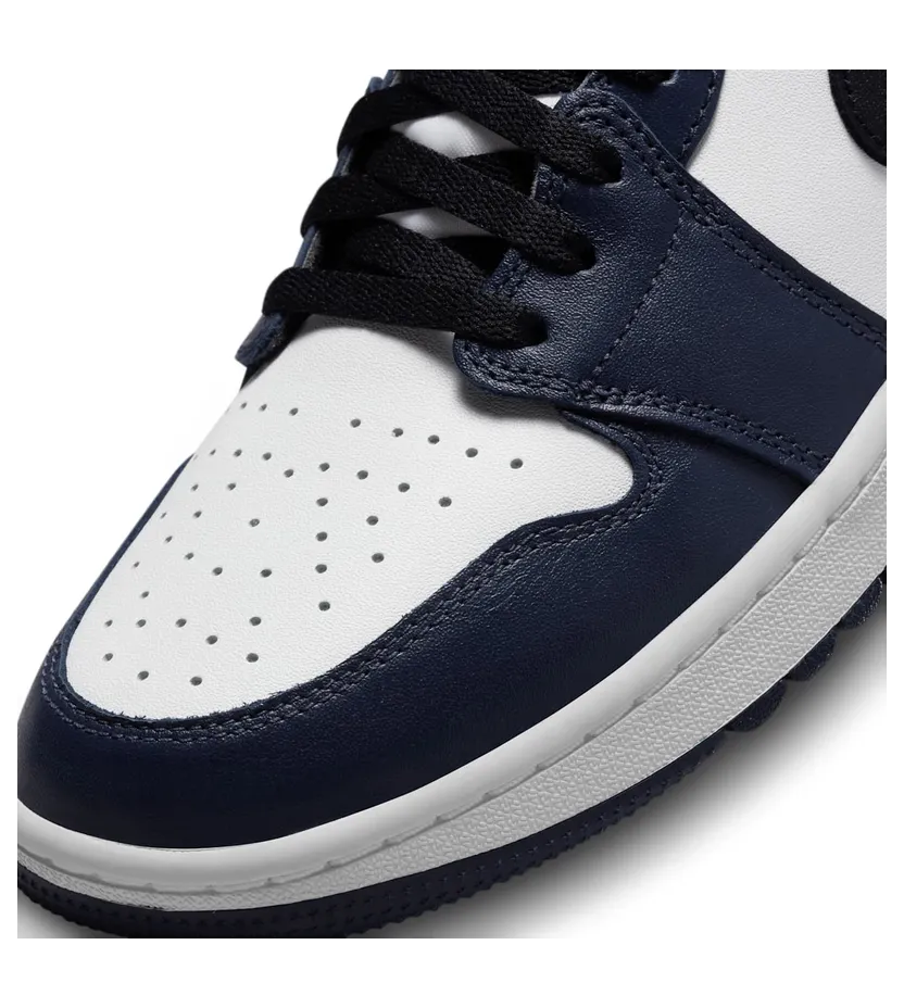 air-jordan-1 DD9315-104