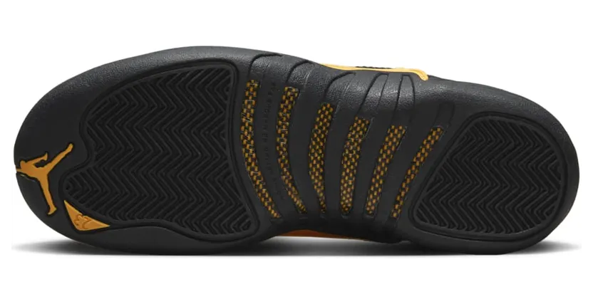 air-jordan-12 153265-071
