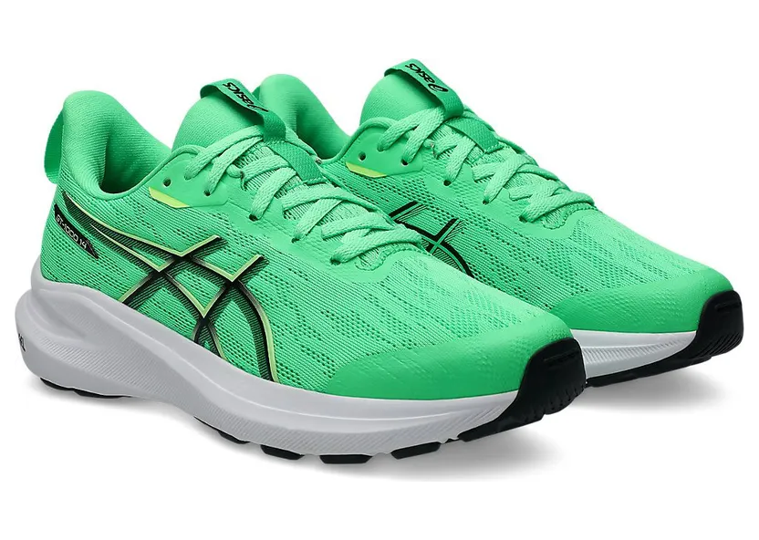 asics-gt-1000 1014A382-300