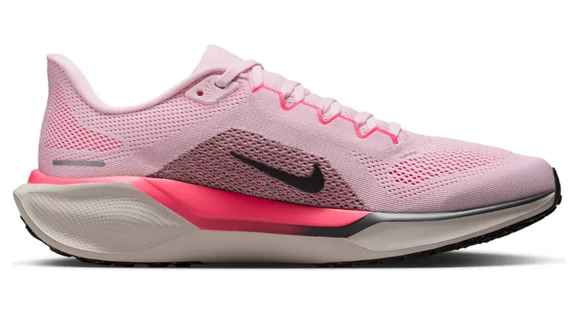 nike-air-pegasus FD2722-604