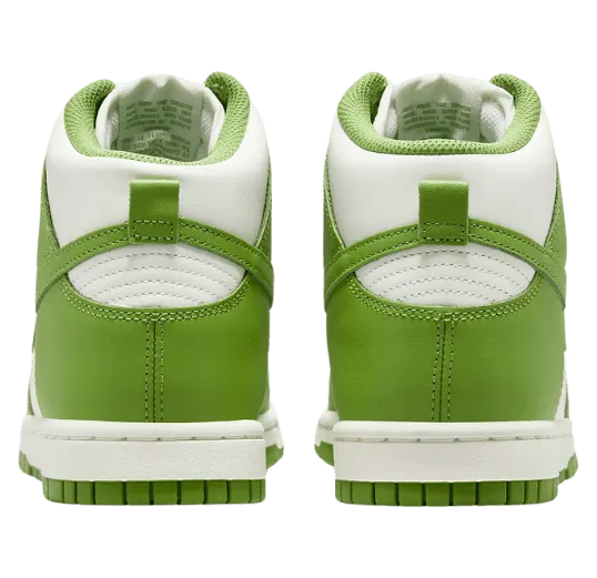 nike-dunk DD1869-300