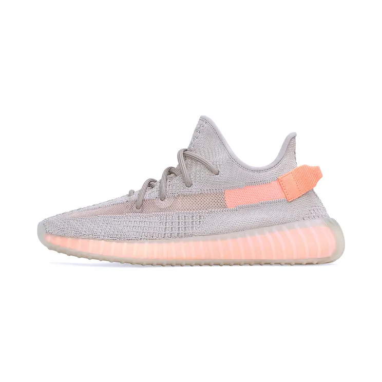 Adidas Yeezy Boost 350 V2 True Form (EG7492)