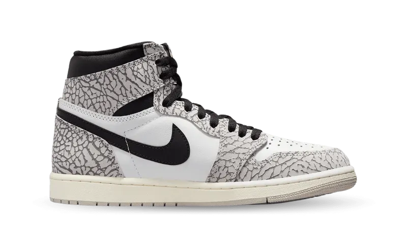 Nike Air Jordan 1 Retro High OG White Cement (DZ5485-052)