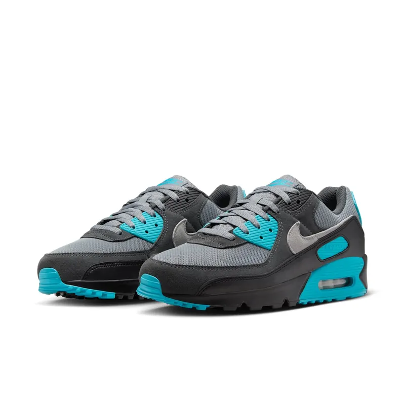 Nike Air Max 90 “Dusty Cactus” (DM0029-013)