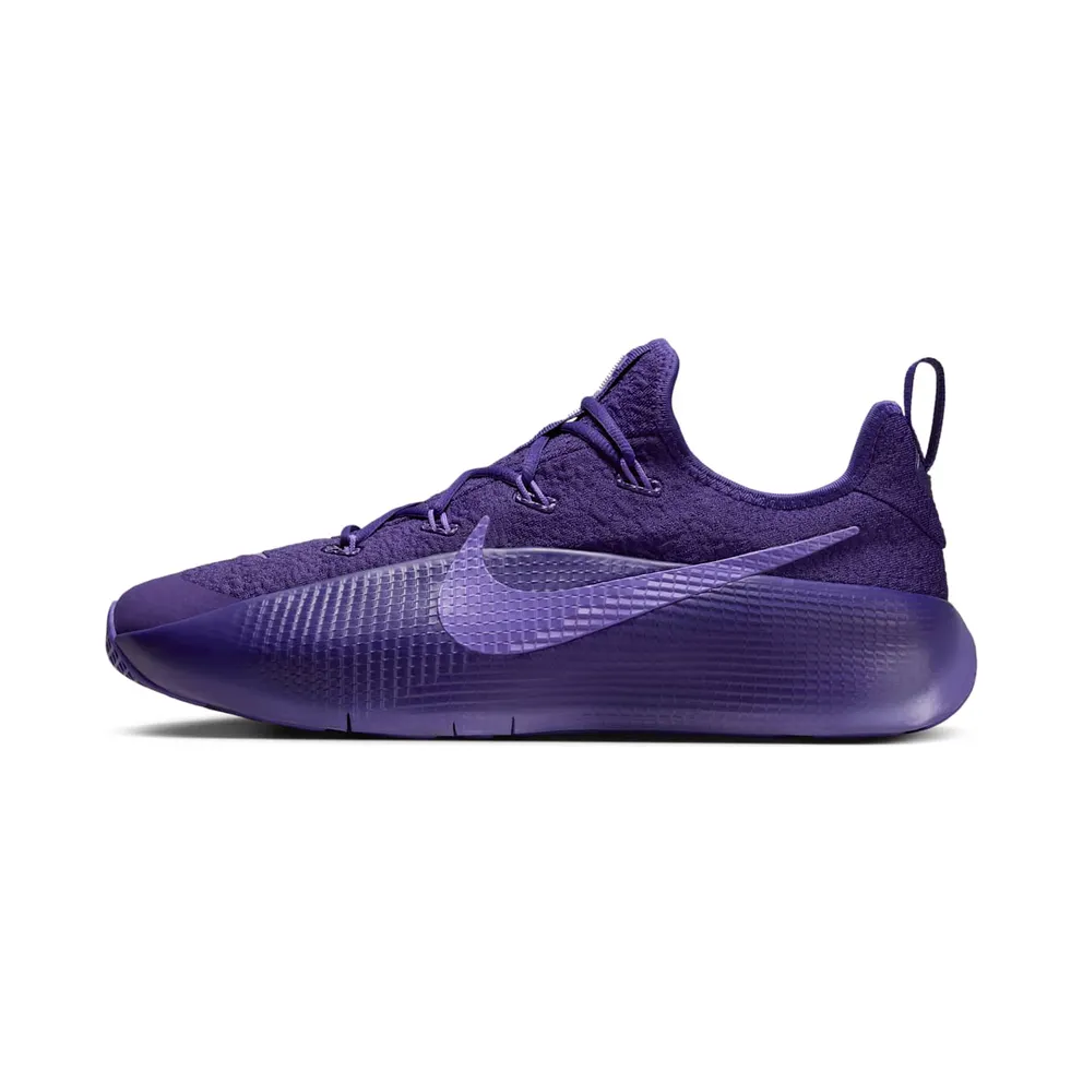 Nike LeBron TR 1 Purple Rain (FJ6151-500)