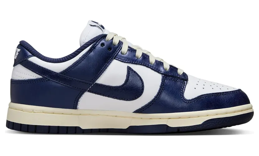 nike-dunk FN7197-100