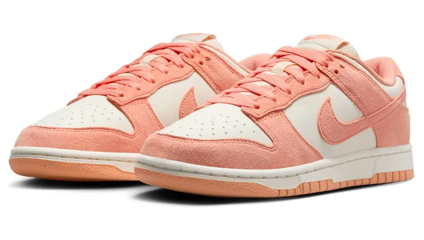 nike-dunk HJ7673-003