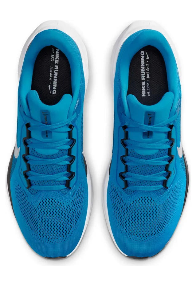 nike-air-zoom IB3211-400
