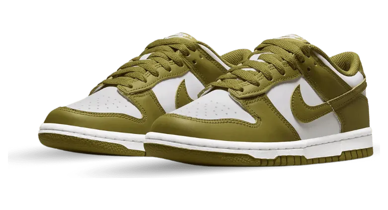 nike-dunk FB9109-108