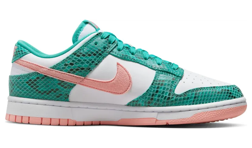 nike-dunk DR8577-300