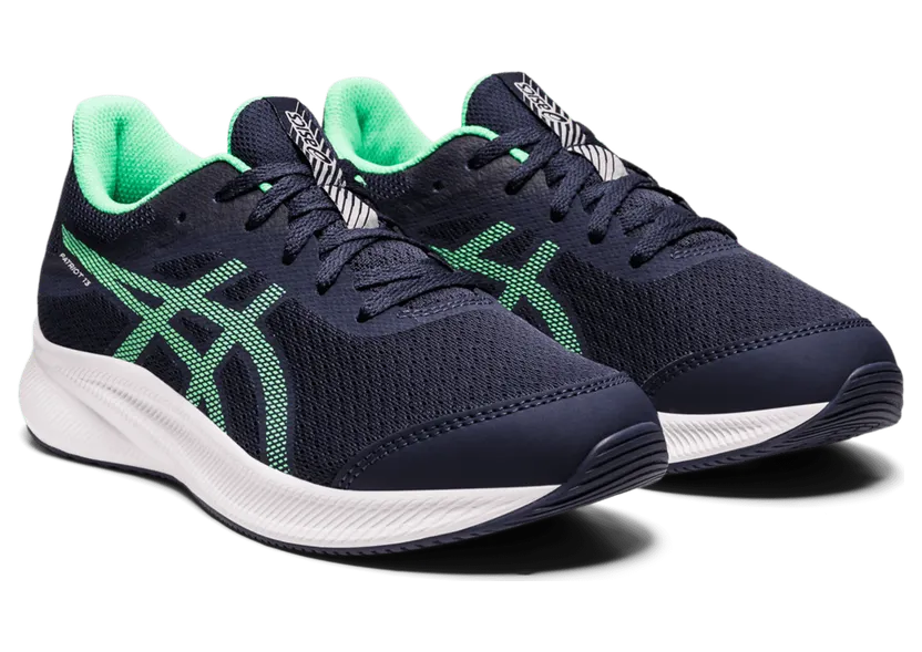 asics-patriot 1014A267.401