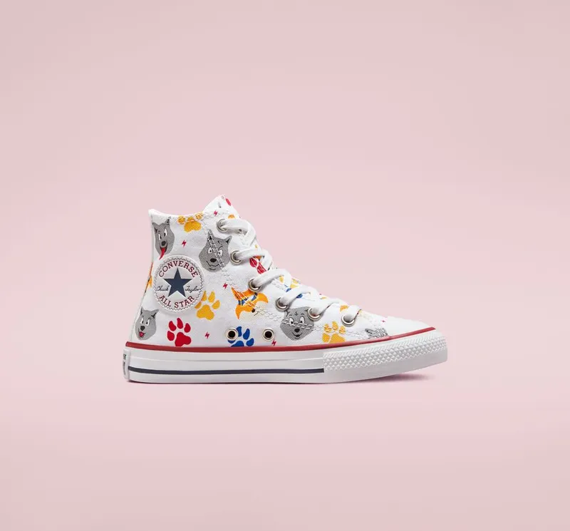 Converse Chuck Taylor All Star Wolf Pack (672912C)