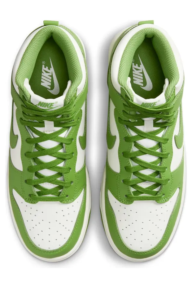 nike-dunk DD1869-300