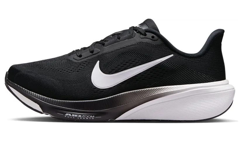 nike-air-pegasus IH1847-001