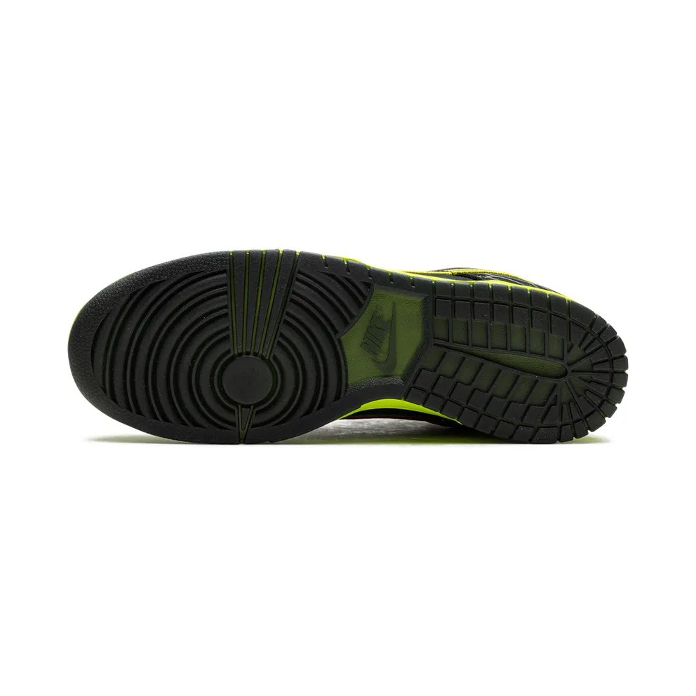 Nike Dunk Low UO PREM “What The Duck Home” (HV1454-001)